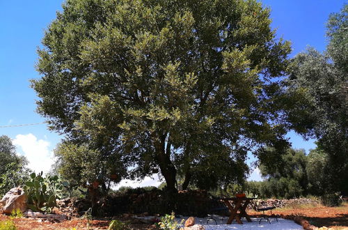 Foto 67 - Trullo Madia with Shared Hot Tub in Nature