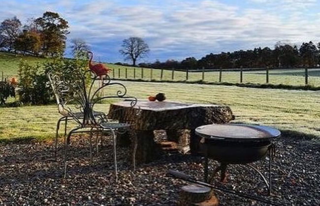 Dunroamin Lodges - Foto 44