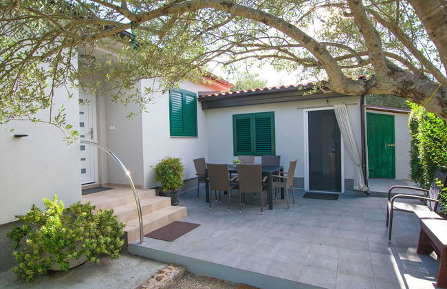 House Pansy - Foto 30