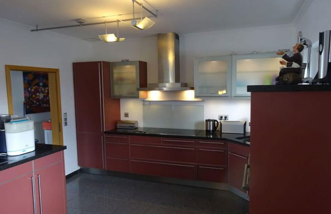 Haus Stadtoase - Foto 8