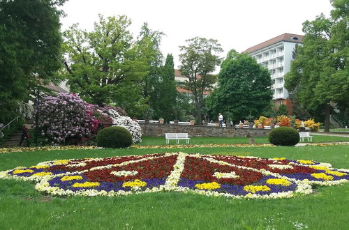 Photo 29 - Stunning Apartment With Terrace in Saxony