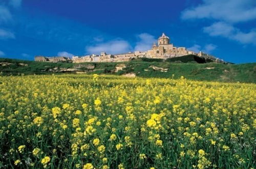 Photo 13 - Charming Seafront House In Kalkara