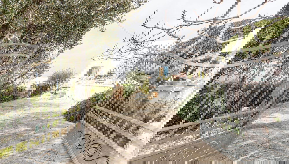 Image principale