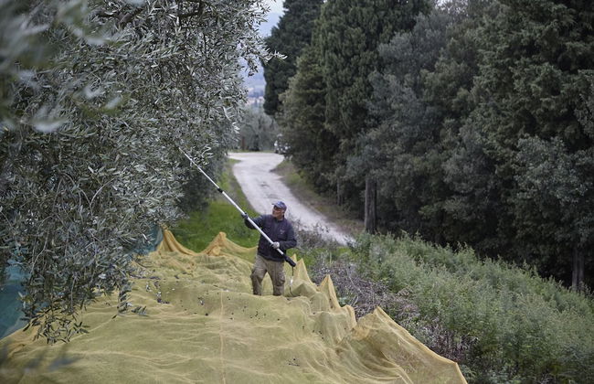 Colle Da Vinci - Foto 42