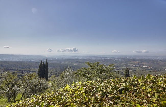Colle Da Vinci - Foto 38
