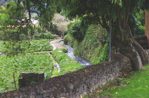 Photo 32 - World's Nests Furnas Pods