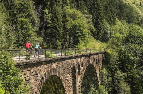 Photo 60 - Appartementhaus Hohe Tauern