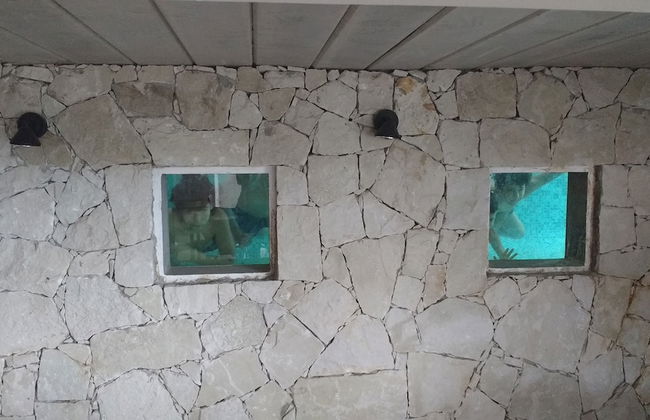 Jaina Resort & Spa - Foto 47