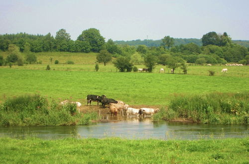 Photo 34 - Beautiful Ardennes House in Quiet Area