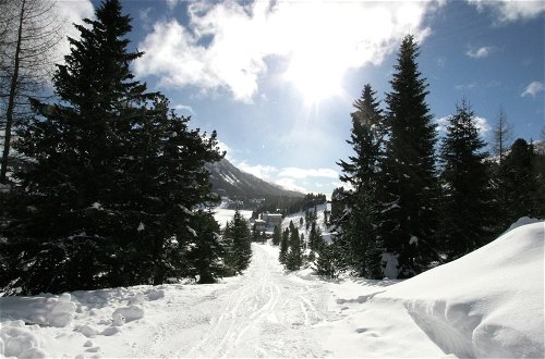 Foto 26 - Spacious Chalet near Ski Area in Turracherhohe