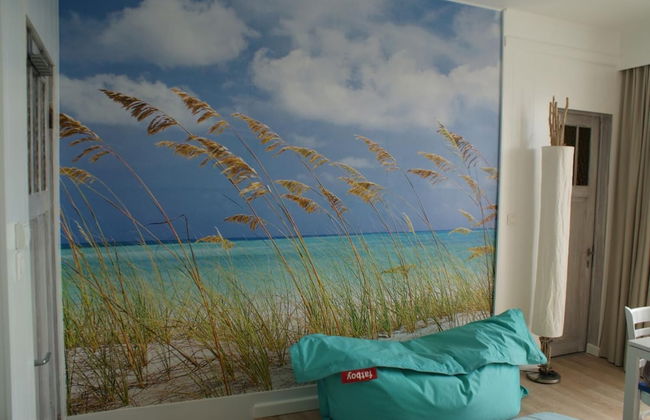 Studio Le Lavandou - Foto 16