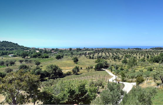 Barnìa - Agriturismo - Foto 50
