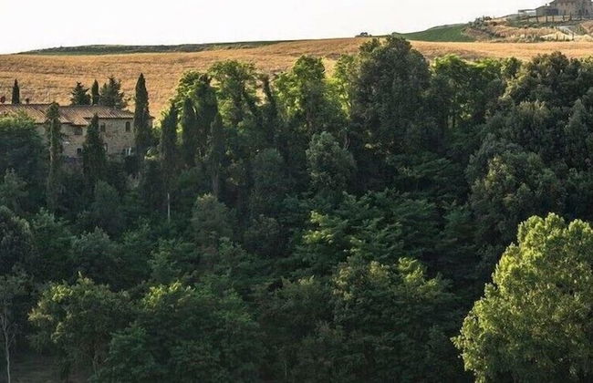 Agriturismo Alle Rose - Foto 37