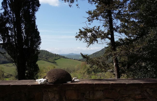 Agriturismo Alle Rose - Foto 19