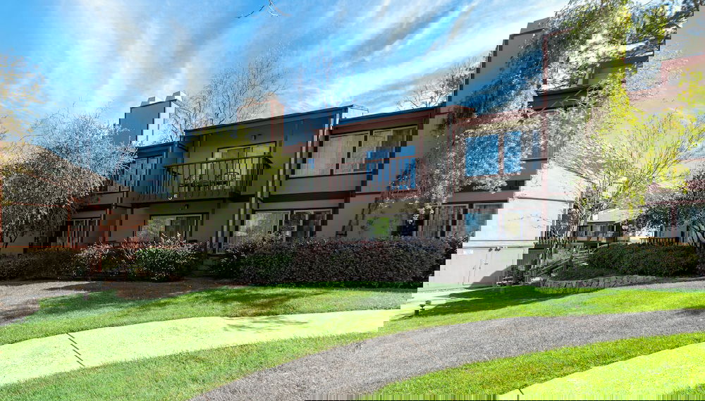 Imagem principal