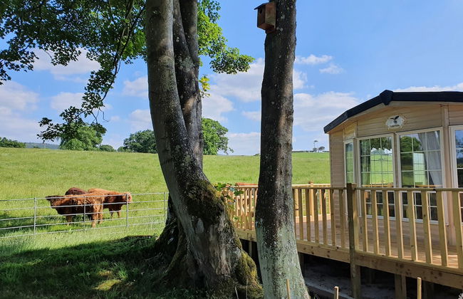 Gaerhyfryd Static Caravan - Foto 1