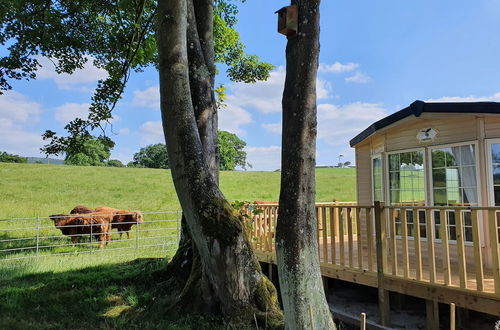 Photo 1 - Gaerhyfryd Static Caravan