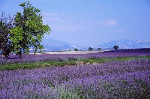 Photo 9 - Village Vacances Le Richelme