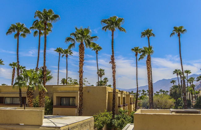 Desert Vacation Villas - Foto 19