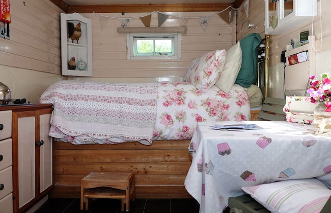 Cosy Shepherds Hut nr Kynance Cove - Foto 5