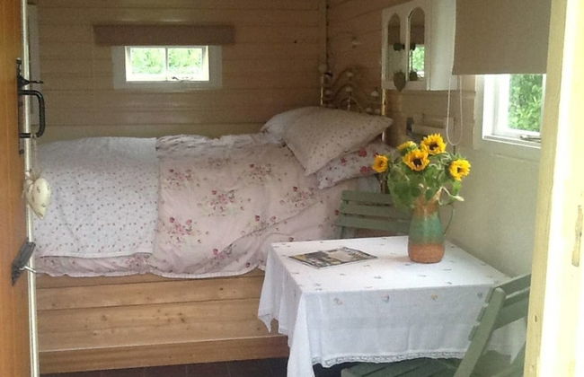 Cosy Shepherds Hut nr Kynance Cove - Foto 2