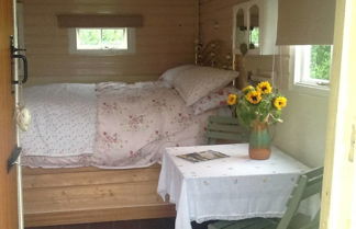 Photo 2 - Cosy Shepherds Hut nr Kynance Cove