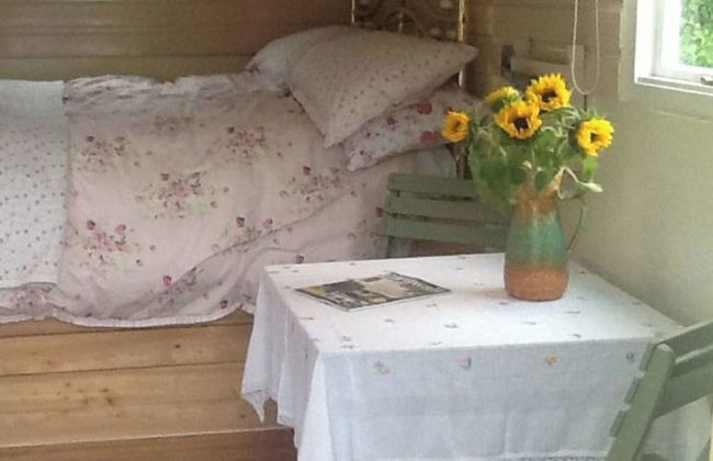 Cosy Shepherds Hut nr Kynance Cove - Foto 4