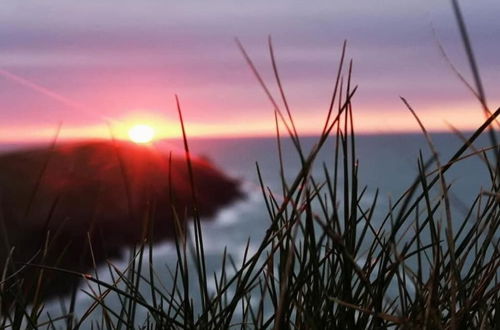 Foto 9 - Cosy Shepherds Hut nr Kynance Cove