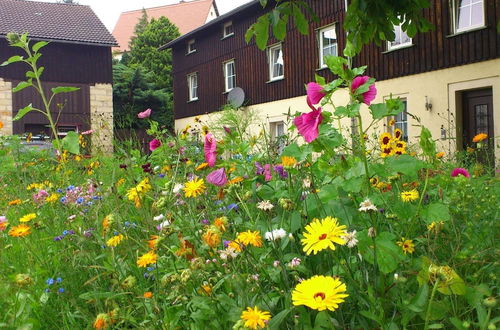 Photo 15 - Modern Apartment in Weissig Saxony With Garden