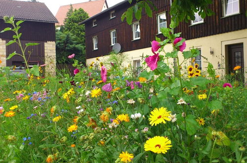 Foto 14 - Modern Apartment in Weissig Saxony With Garden