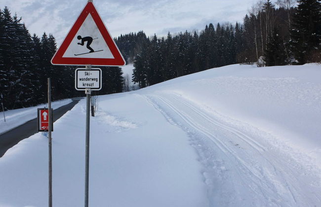 Spacious Holiday Home in Neureichenau-schimmelbach - Photo 22