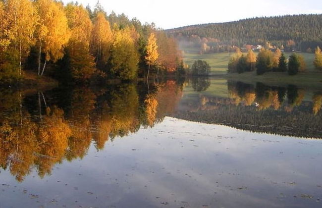 Spacious Holiday Home in Neureichenau-schimmelbach - Photo 19