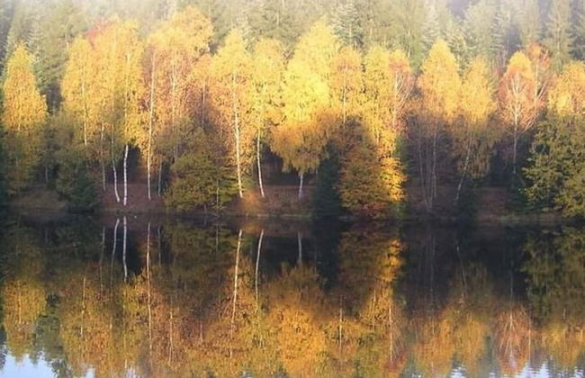 Spacious Holiday Home in Neureichenau-schimmelbach - Photo 21