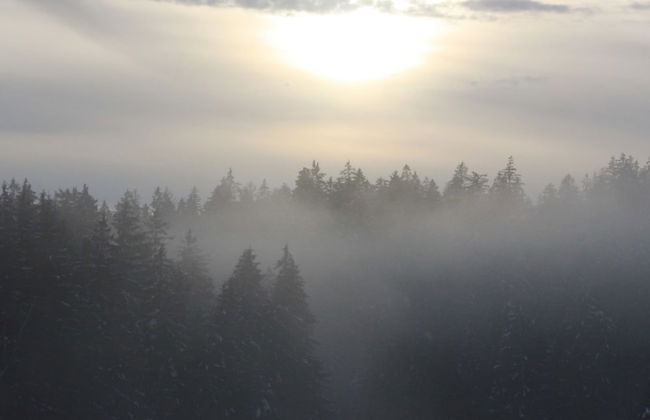 Spacious Holiday Home in Neureichenau-schimmelbach - Photo 20