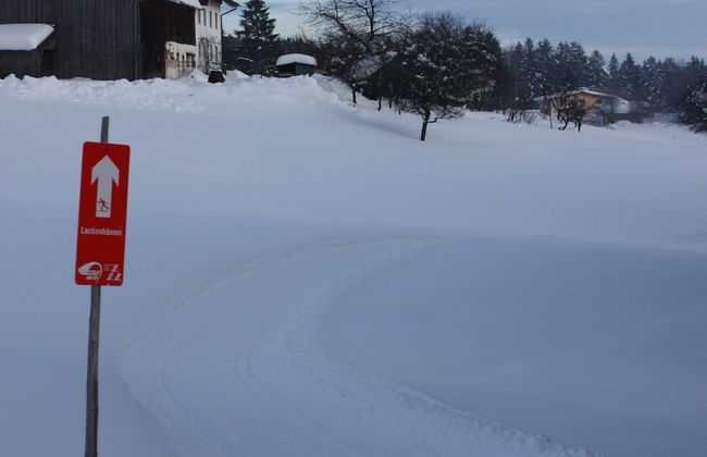 Spacious Holiday Home in Neureichenau-schimmelbach - Photo 24