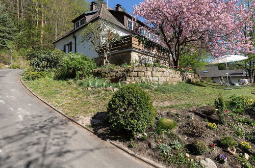 Photo 31 - Holiday Flat in Upper Franconia With Garden