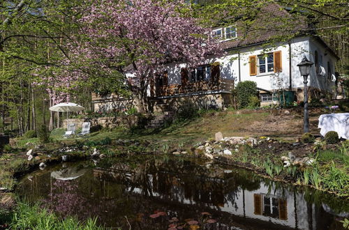 Photo 1 - Holiday Flat in Upper Franconia With Garden