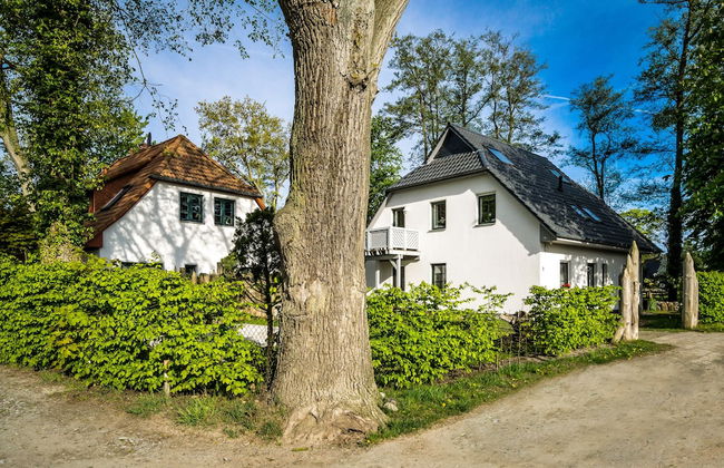 Buhneneck Prerow - Foto 1
