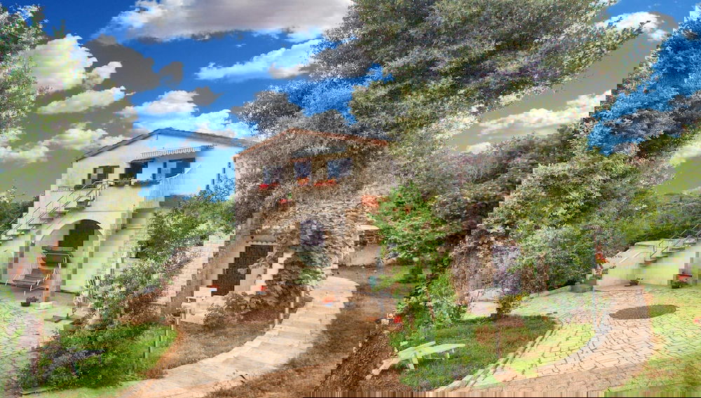 Imagem principal