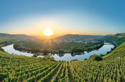 Photo 21 - Holiday Apartment Near the Moselle With Terrace