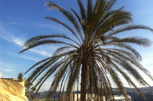 Foto 33 - The Palm Tree Residence