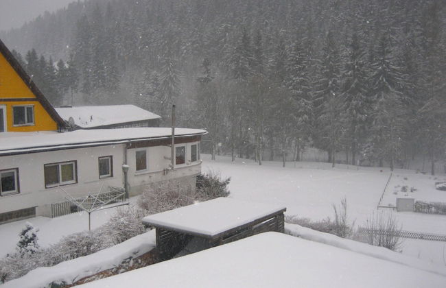 Apartment in Wildemann Near Hahnenklee Ski Area - Foto 27
