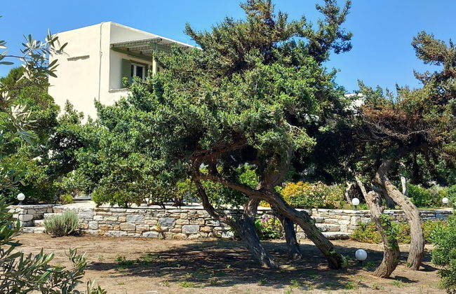 Kedros Villas - Foto 32