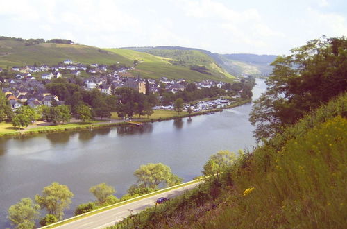 Photo 31 - Modern Holiday Apartment With Large Garden Near the River Moselle