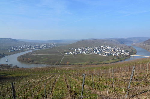 Photo 29 - Modern Holiday Apartment With Large Garden Near the River Moselle