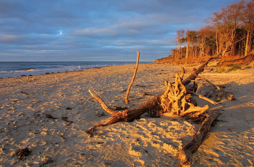 Foto 54 - Ferienwohnungen Dünenmeer