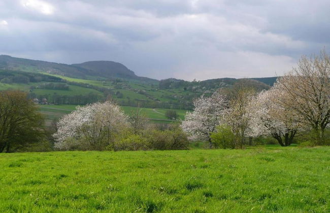 Meadow View Cottage in Winterstein Thuringia near Ski Area - Foto 38