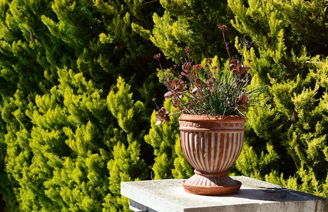 Villa Pasiphae - Foto 52