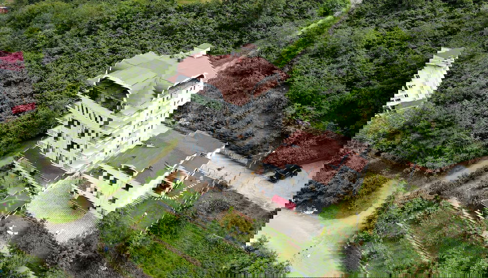 Primary image