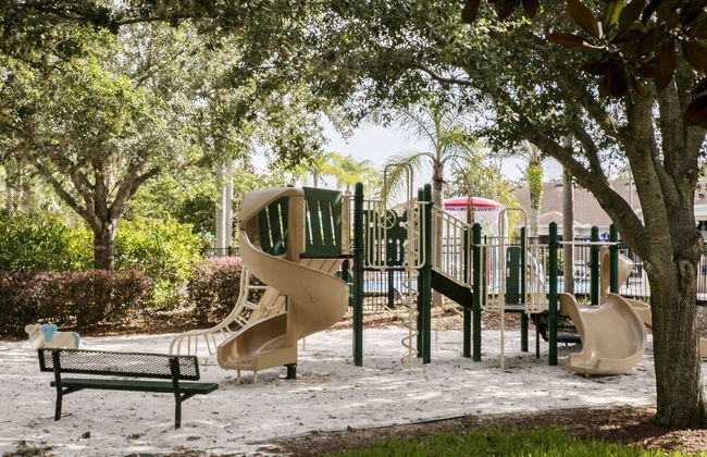 8131 Sun Palm Drive - Photo 28
